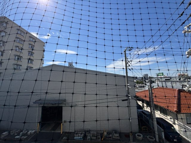 アルビヨン錦のその他写真
