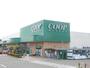 スーパー　みやぎ生活協同組合　大河原店（スーパー）まで1100m