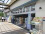 ドラックストア　ハックドラッグ藤沢白旗店（ドラッグストア）まで409m