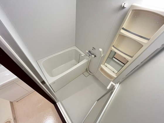 バス・シャワールーム　※別部屋の写真です