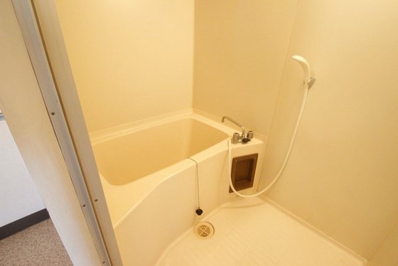 バス・シャワールーム　※別号室のお写真です