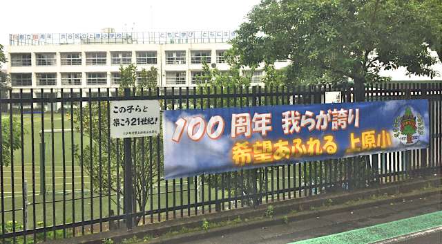 小学校　渋谷区立上原小学校（小学校）まで790m