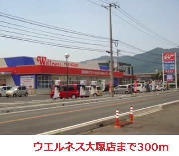 ドラックストア　ウエルネス大塚店（ドラッグストア）まで300m
