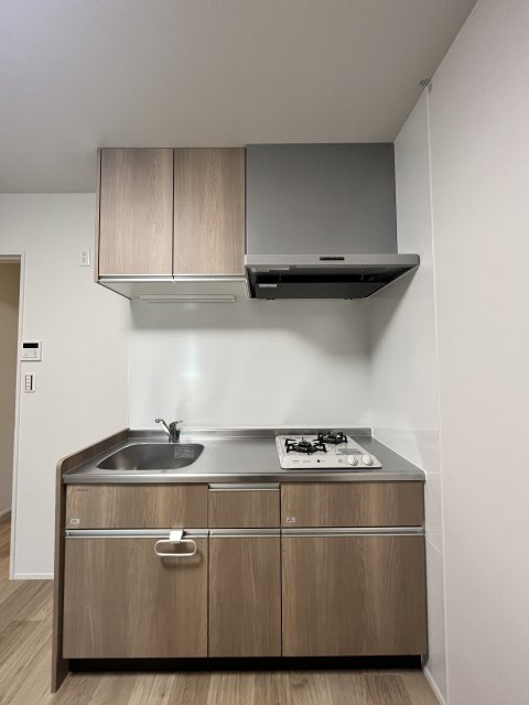 キッチン　同物件別号室のものです。