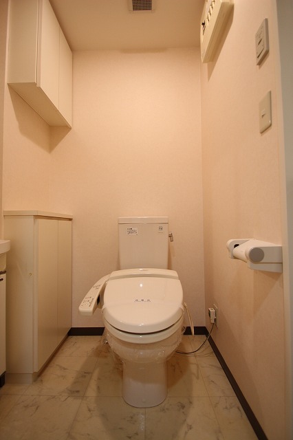 トイレ　同物件別号室のものです。