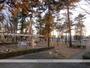 公園　花畑公園（公園）まで650m