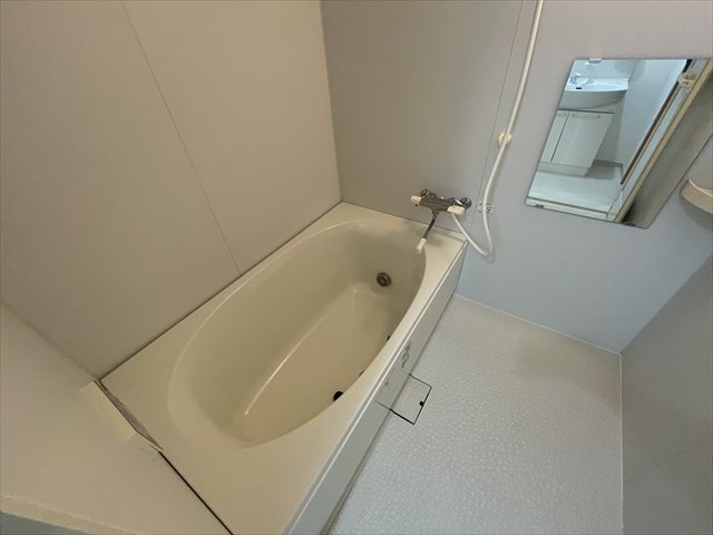 バス・シャワールーム　※同建物別部屋の写真になります。