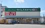 ドラックストア　ドラッグセイムス高島平店（ドラッグストア）まで492m