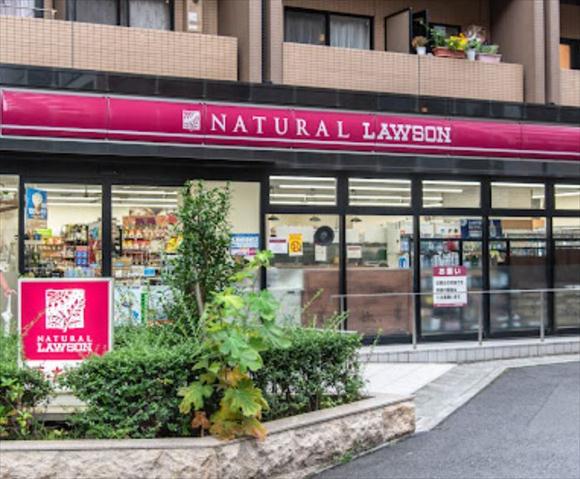 コンビニ　ナチュラルローソン南麻布二丁目店（コンビニ）まで611m