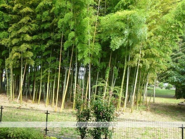 眺望　眺望