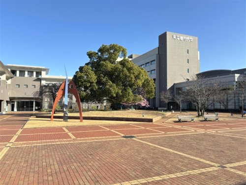 大学・短大　東京都市大学 横浜キャンパス（大学・短大）まで528m