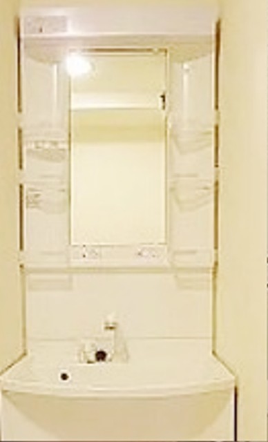 洗面設備　別部屋同仕様タイプ