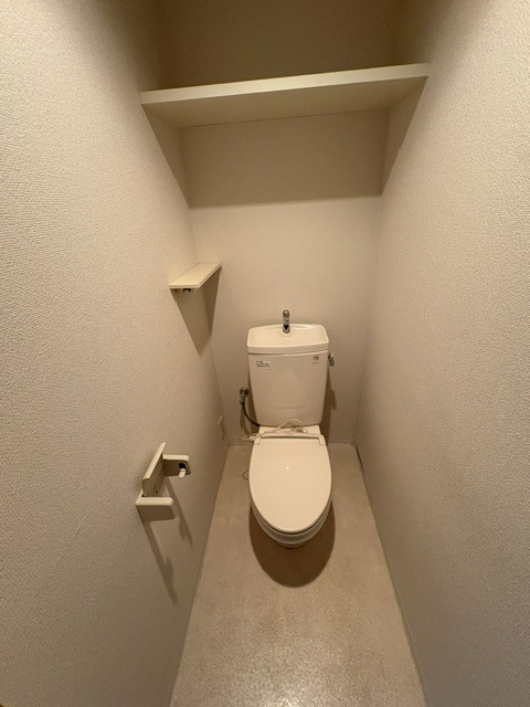 グリーンライン 高田駅 徒歩2分 5階建 築24年のトイレ写真