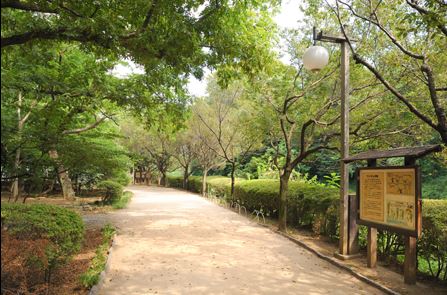 公園　駒場野公園（公園）まで679m