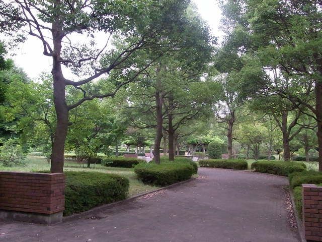 公園　流山市総合運動公園（公園）まで500m