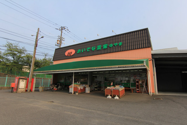 スーパー　松山生協おいでな菜家・ゆやま（スーパー）まで750m