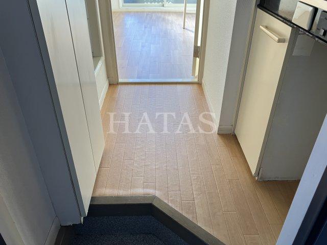 玄関　同物件別部屋です。