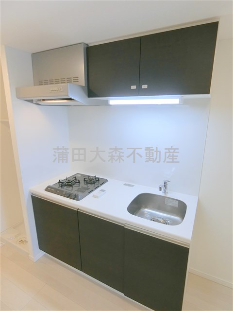 キッチン　2口ガスシステムキッチン