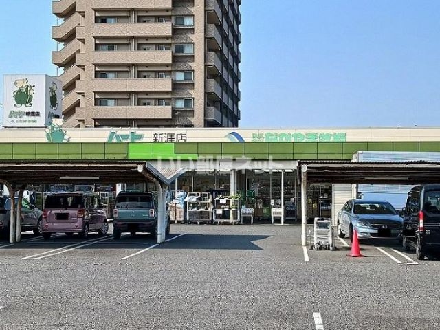スーパー　なかやま牧場ハート　新涯店（スーパー）まで348m