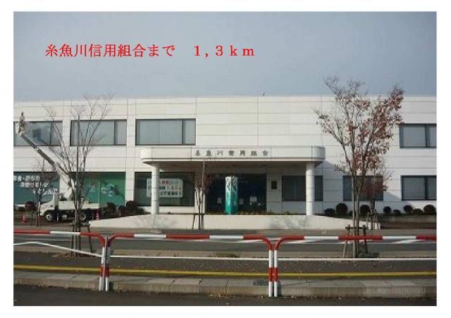 銀行　糸魚川信用組合（銀行）まで1300m