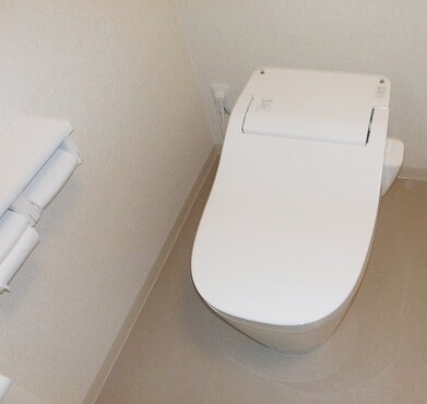 ライオンズマンション平塚?附町第2のトイレ写真