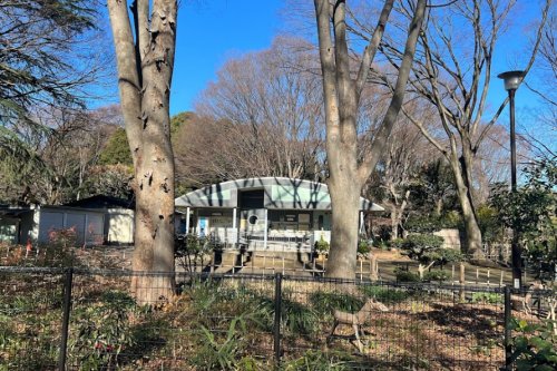 公園　砧公園サービスセンター（公園）まで1009m