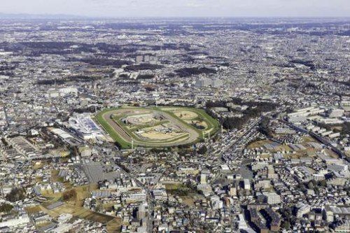 その他　中山競馬場付近を空撮（その他）まで3581m