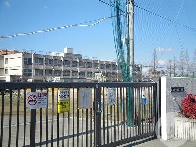 小学校　金岡南小学校（小学校）まで409m