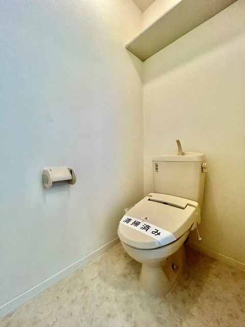 ＪＲ高崎線 新町駅 徒歩67分 2階建 築17年のトイレ写真