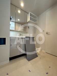 洗面設備　ルフォンプログレ堺筋本町タワーレジデンス　洗面所