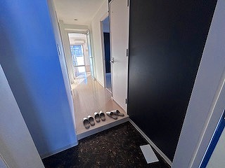 玄関　同タイプ