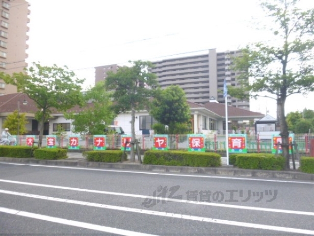 幼稚園・保育園　大宝カナリヤ保育園（幼稚園・保育園）まで600m