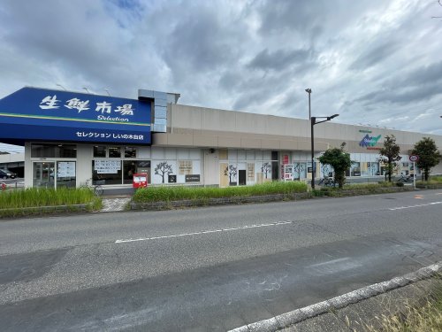 スーパー　フーズマーケットセレクションしいの木台店（スーパー）まで2345m