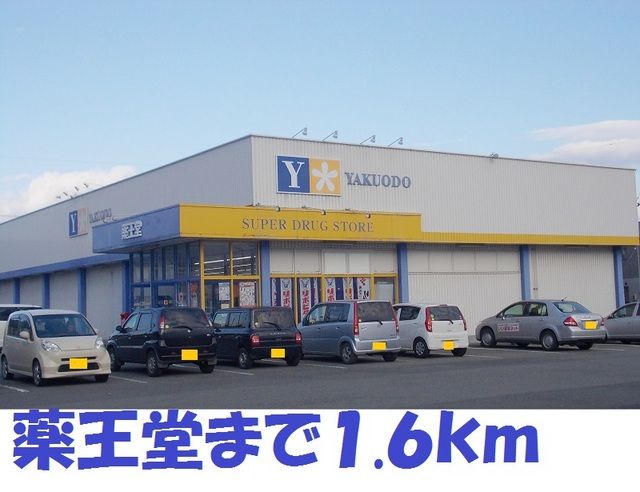 ドラックストア　薬王堂常盤台（ドラッグストア）まで1600m