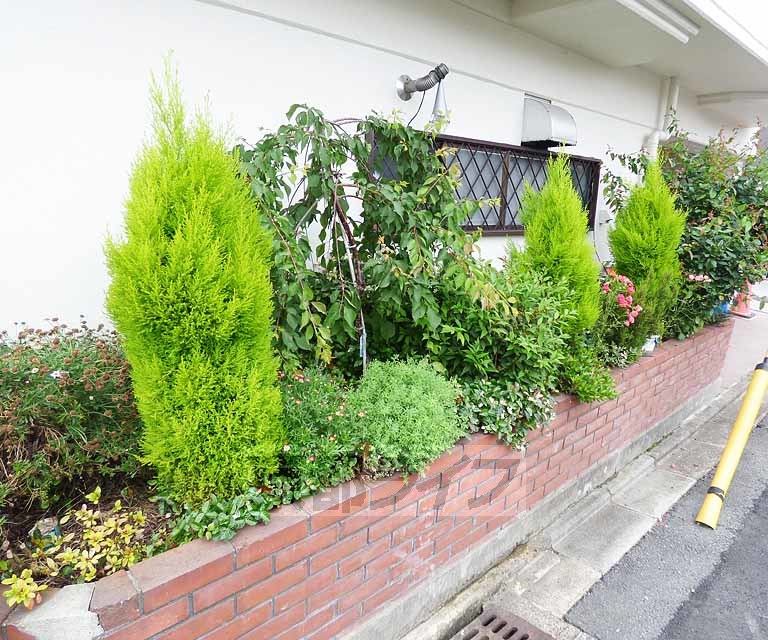 庭