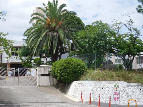 小学校　大阪狭山市立南第一小学校（小学校）まで96m