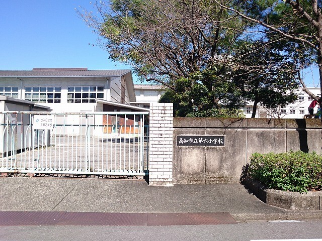 【ファルコ鷹匠の小学校】