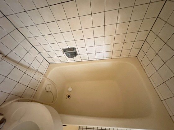 バス・シャワールーム　※別号室の写真です