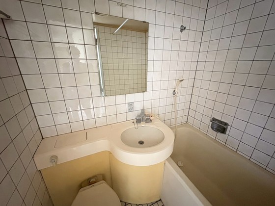 洗面設備　※別号室の写真です