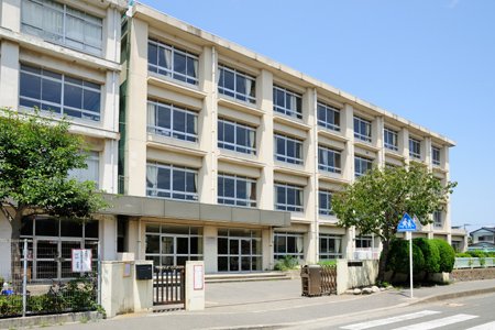 小学校　藤沢市立羽鳥小学校（小学校）まで250m