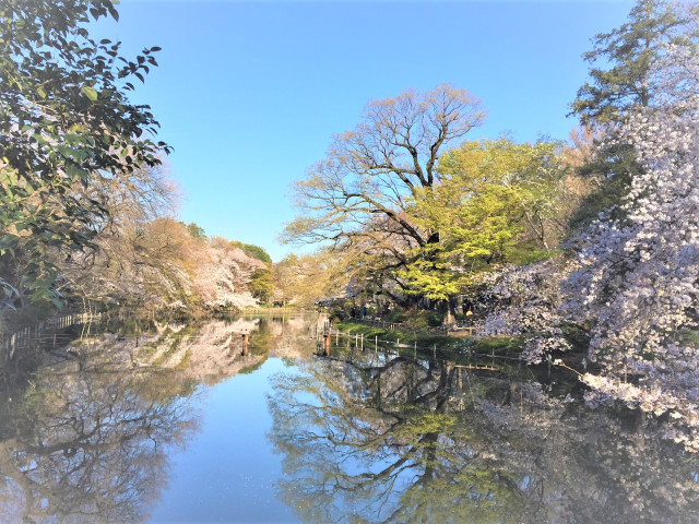 公園　井の頭恩賜公園（公園）まで550m