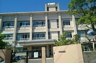 小学校　木本小学校様（小学校）まで250m