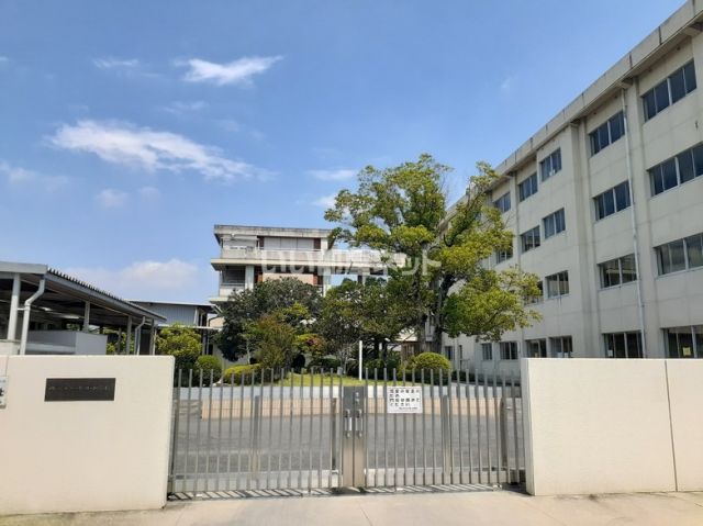 小学校　岡山市立平井小学校（小学校）まで571m