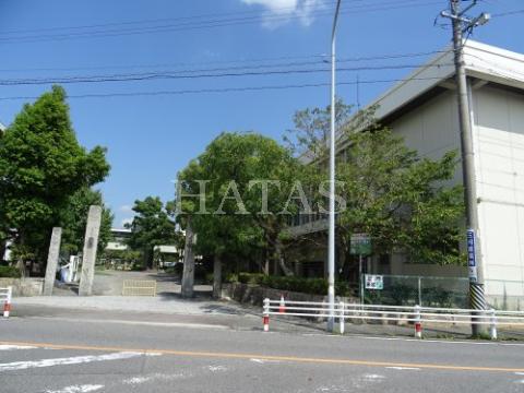 小学校　西尾市立横須賀小学校（小学校）まで800m