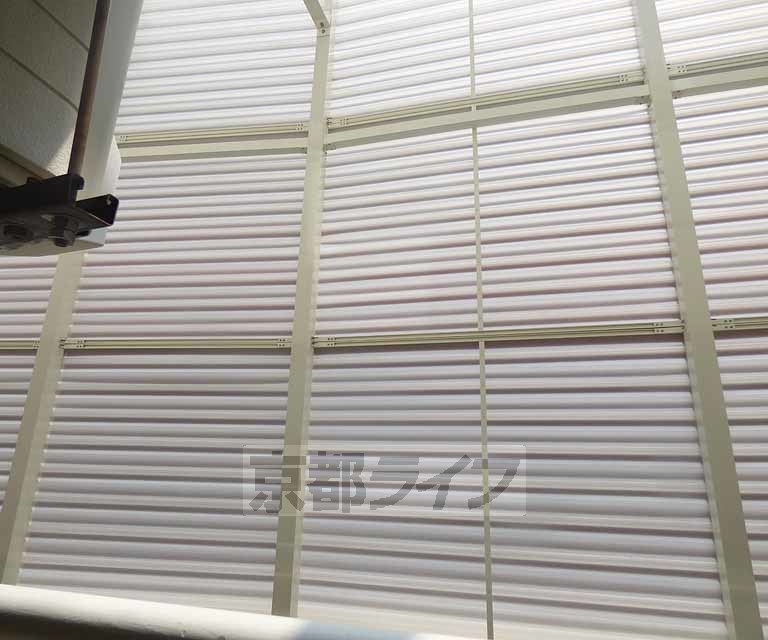 眺望　景色が綺麗です