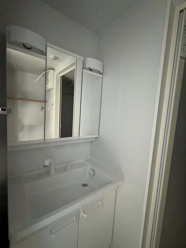 洗面設備　※別号室の参考写真になります。