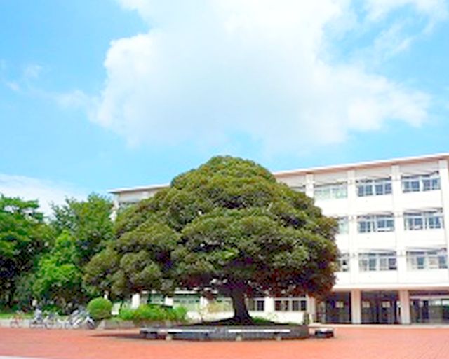 高校・高専　東京都立八王子拓真高校（高校・高専）まで357m