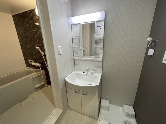 洗面設備　※別号室の写真です