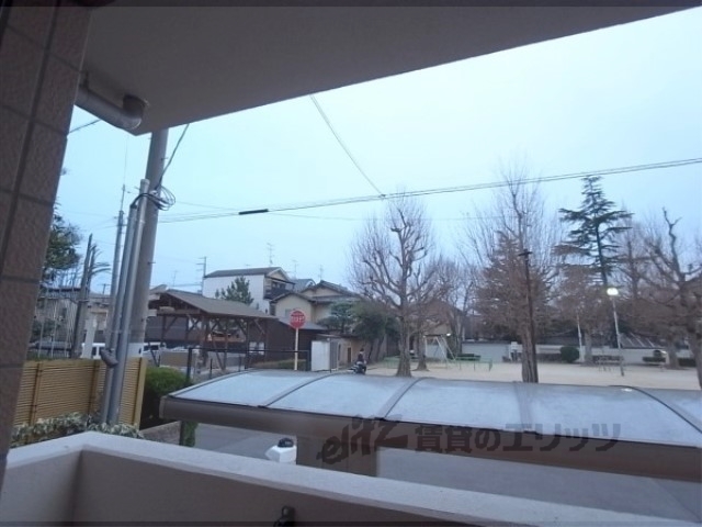 眺望　目の前が公園です