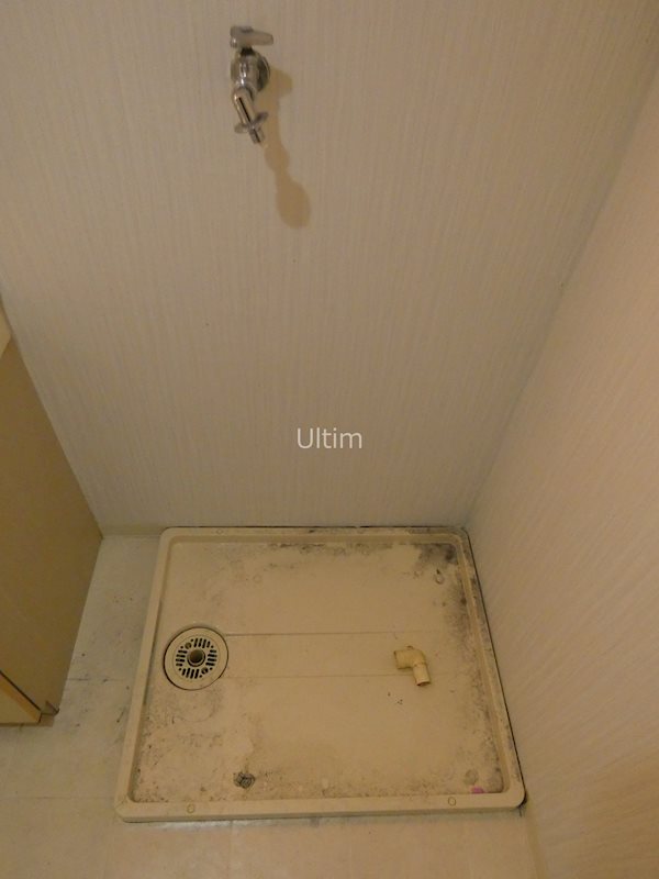 その他　洗濯機置き場※他のお部屋です、ご参考までに